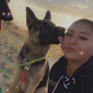 Meet your Posher, Sofia